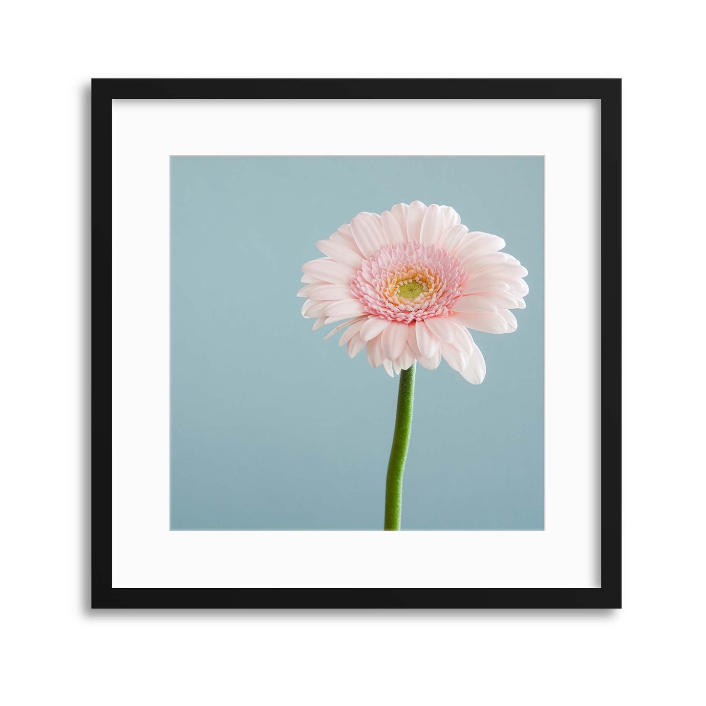 Pretty in Pink Framed Print - USTAD HOME