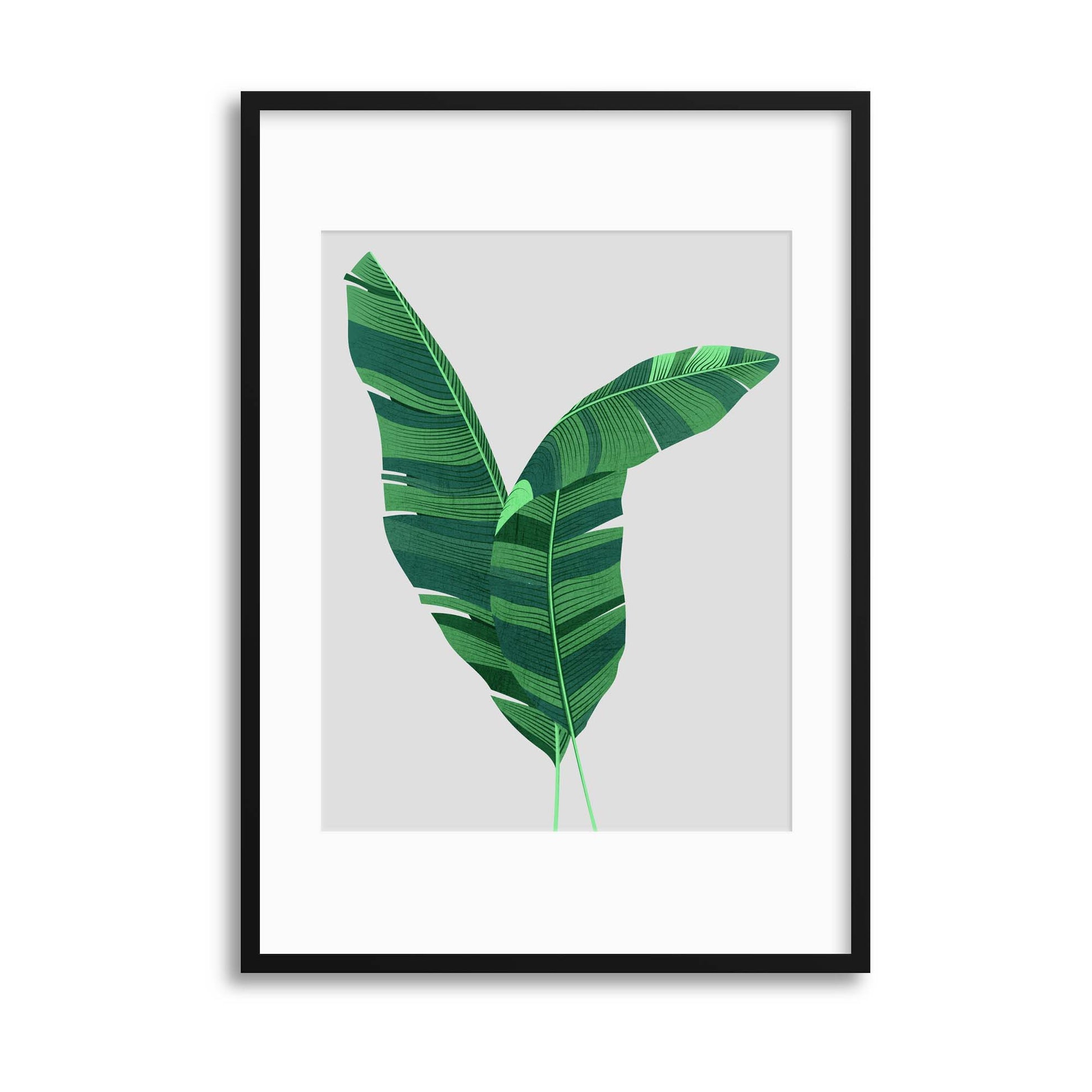 Leaf Exotica II Framed Print - USTAD HOME