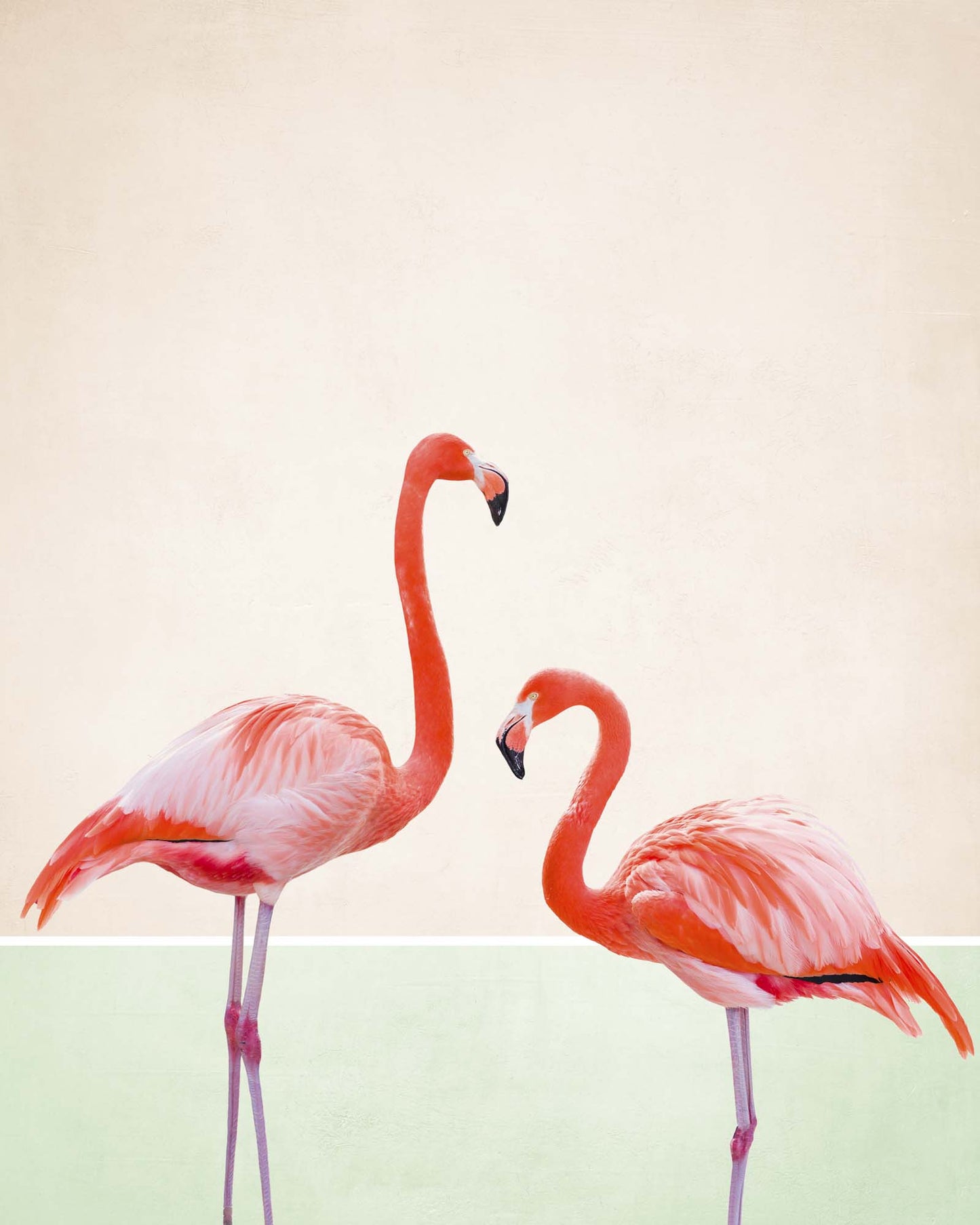 Flamingo Modern II Framed Print - USTAD HOME