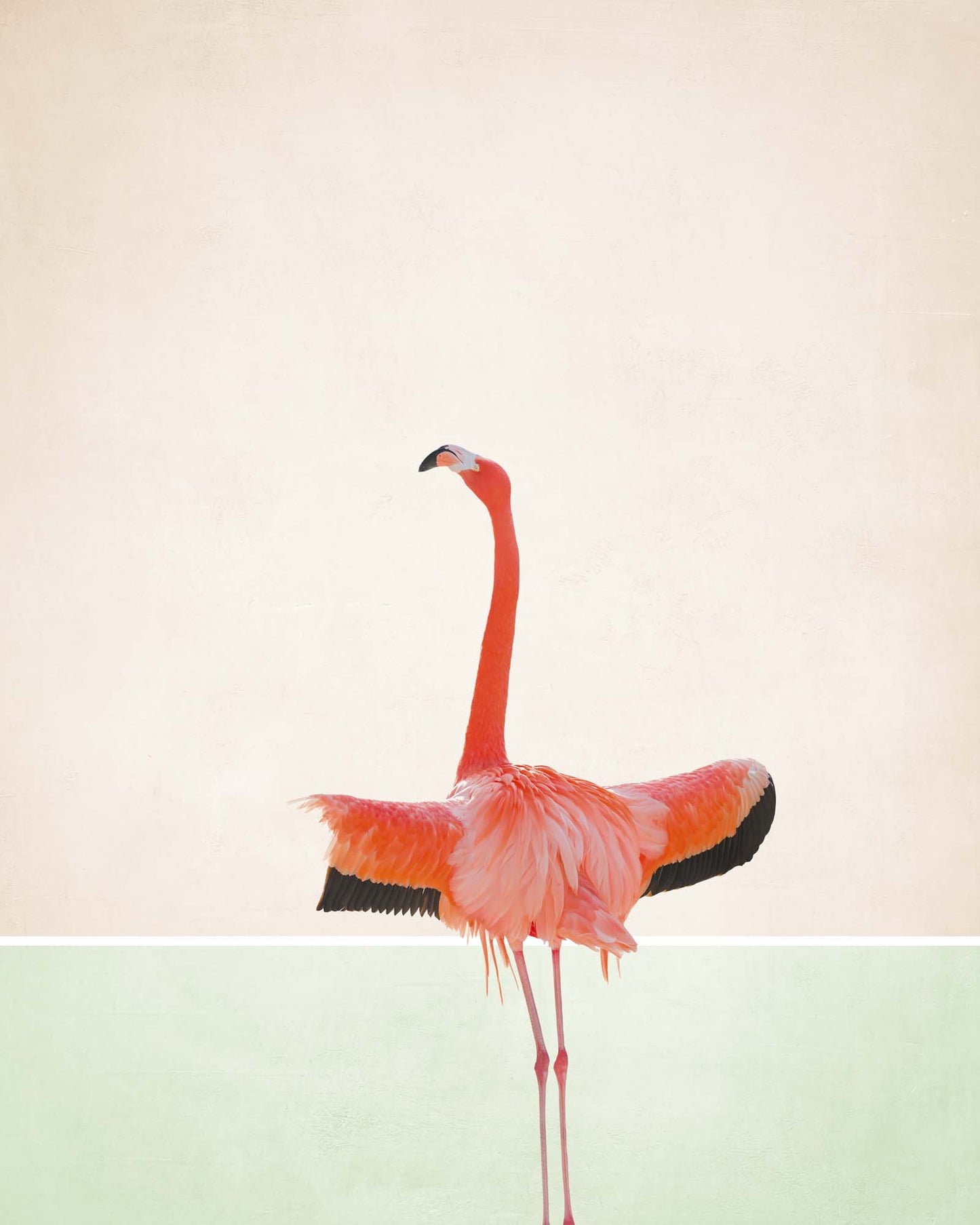 Flamingo Modern I Framed Print - USTAD HOME