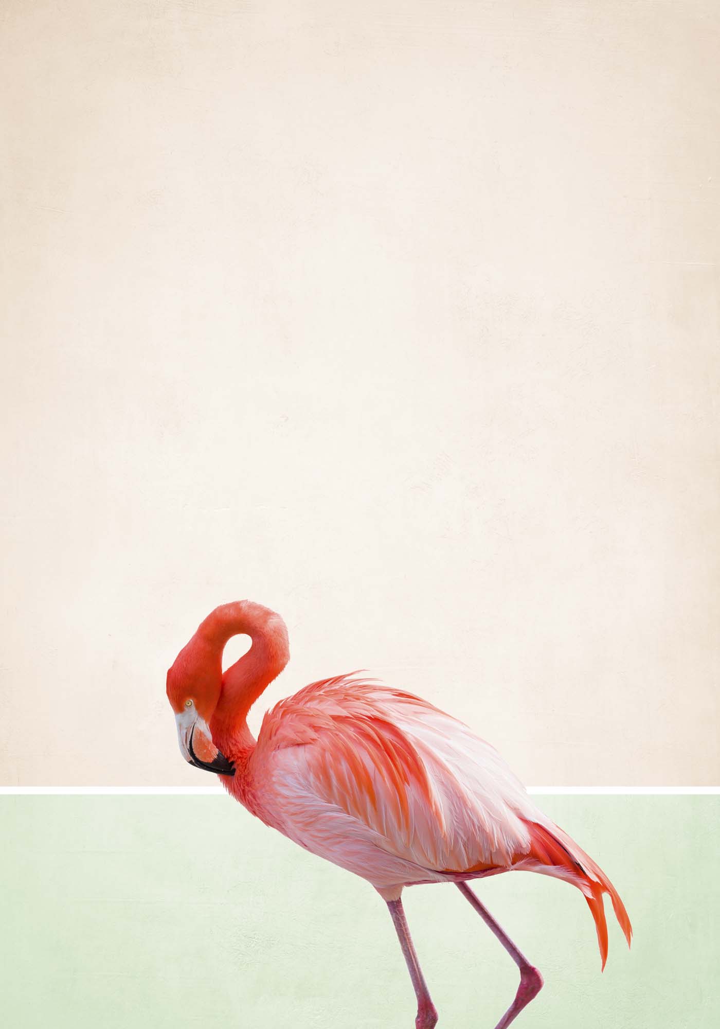 Flamingo Modern III Framed Print - USTAD HOME