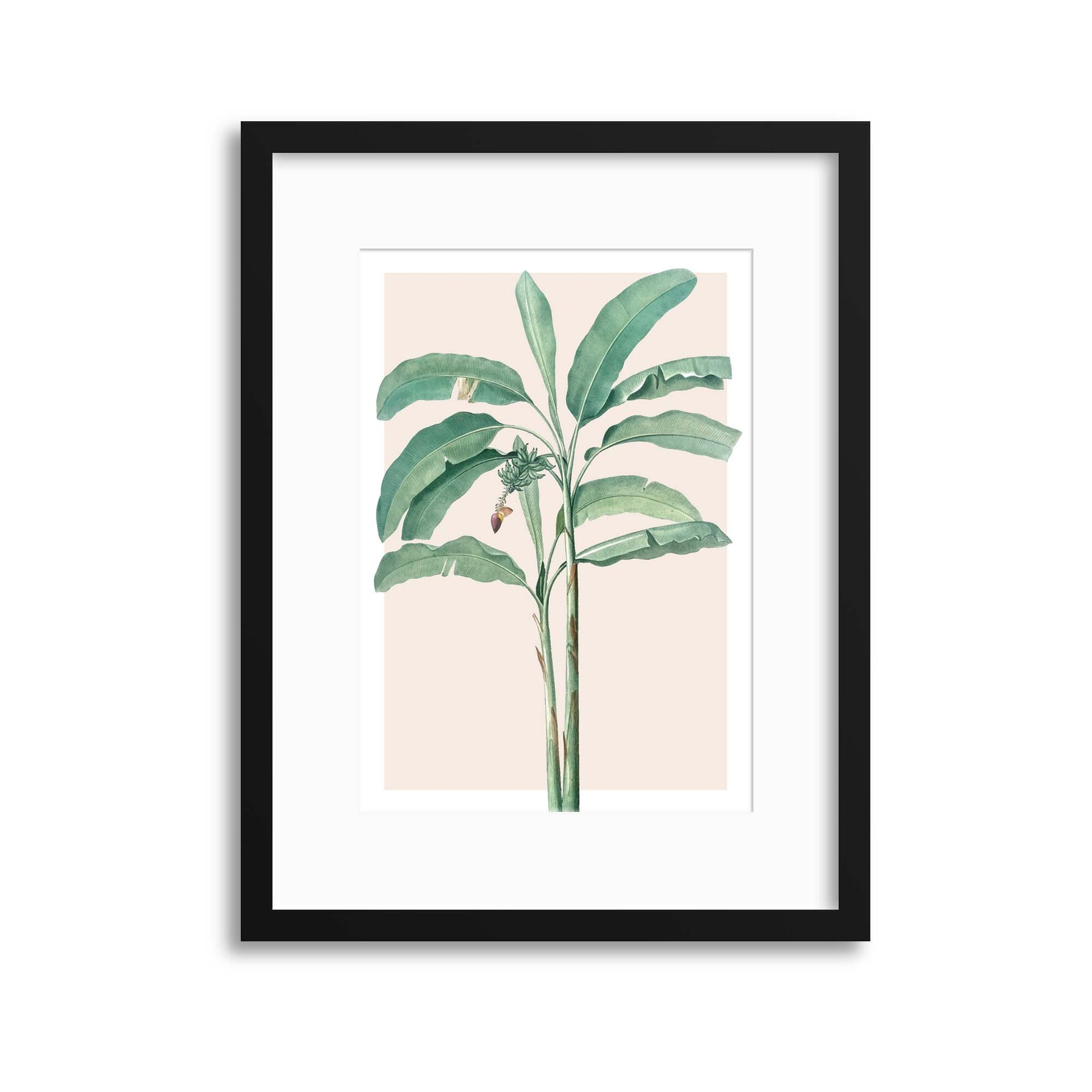 Banana Leaf in Pink Framed Print - USTAD HOME