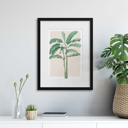 Banana Leaf in Pink Framed Print - USTAD HOME