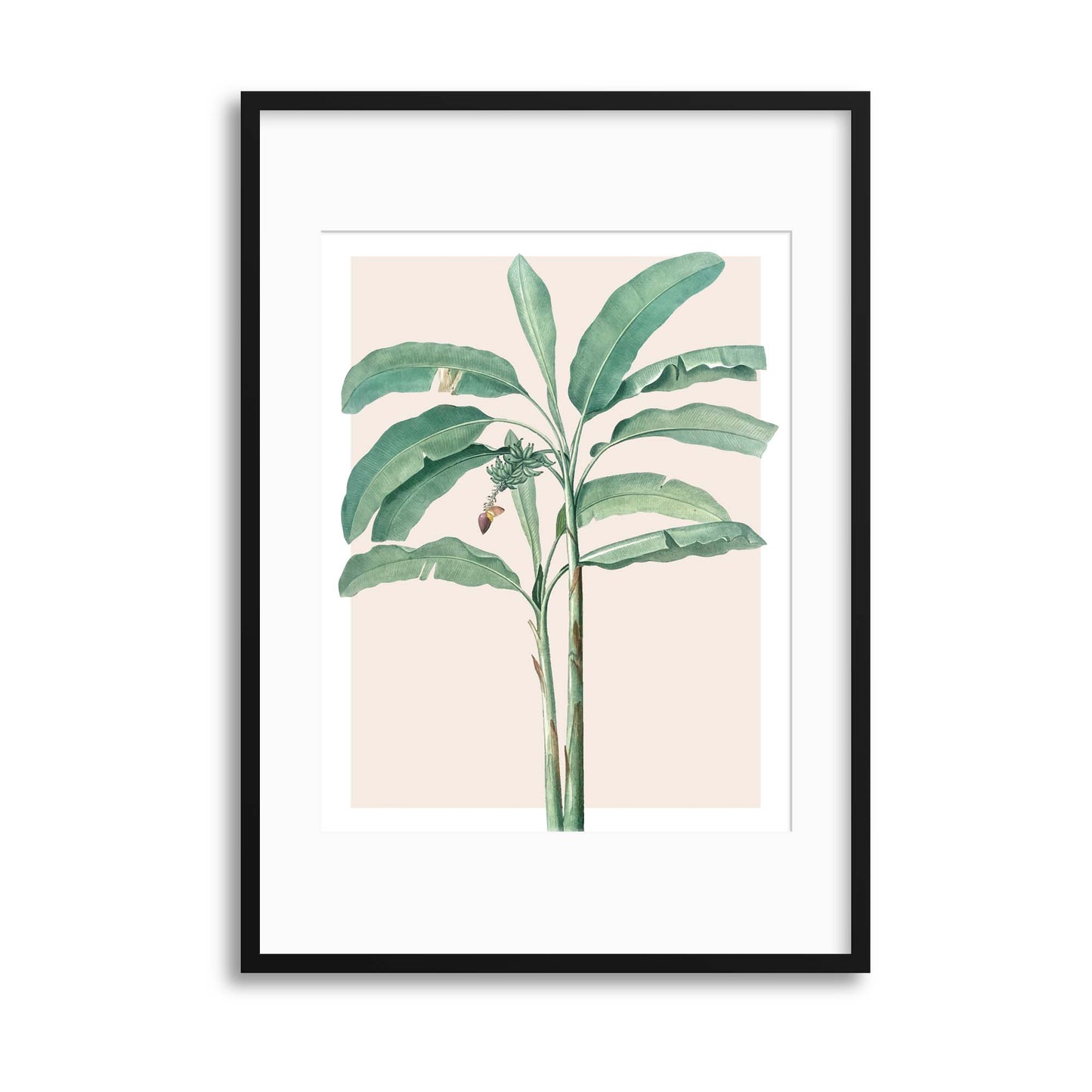 Banana Leaf in Pink Framed Print - USTAD HOME