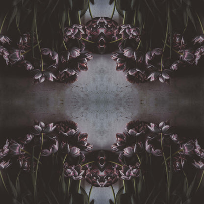 Tulip Noir - USTAD HOME