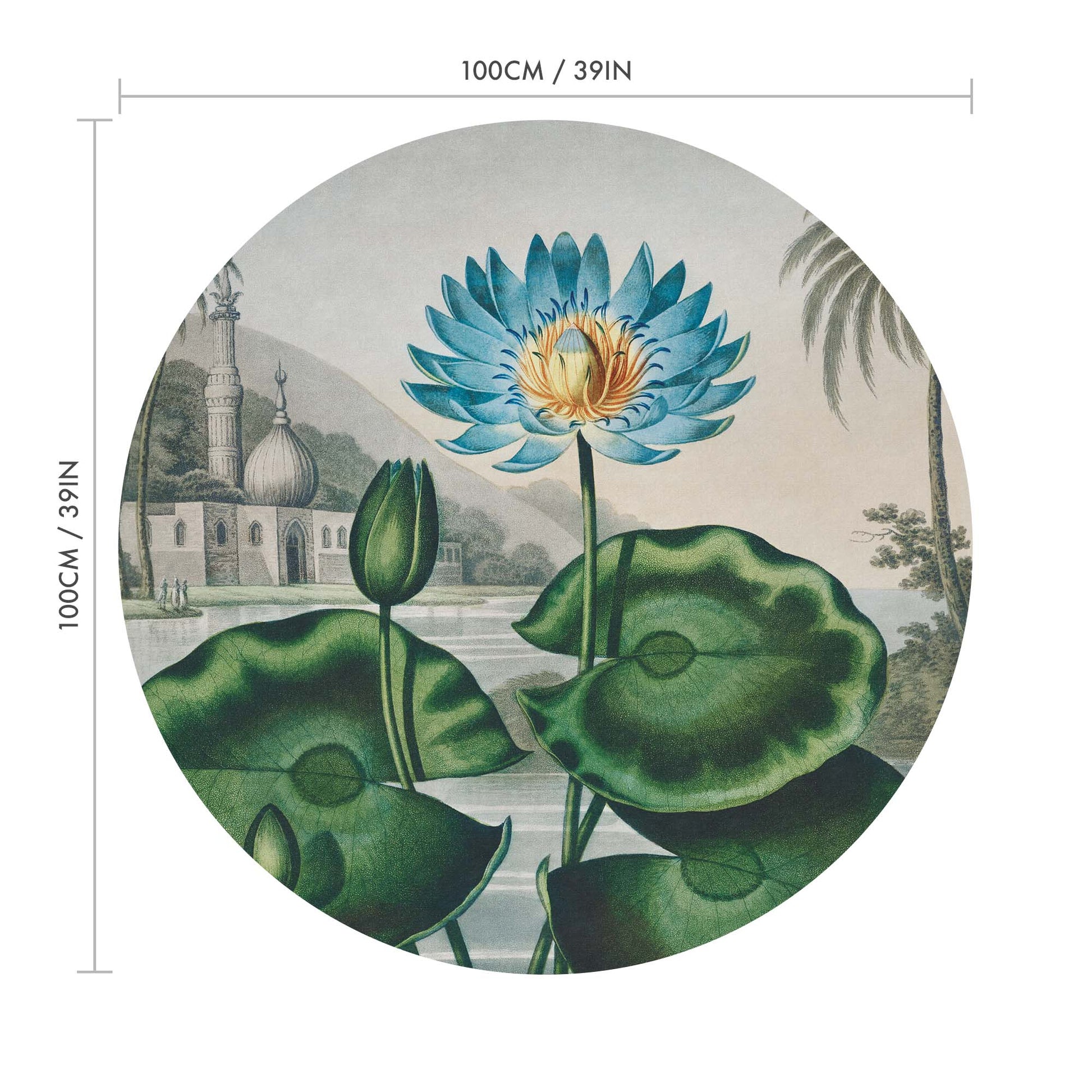 Lotus Azul - USTAD HOME