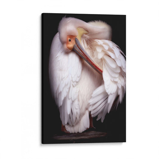 Pelican's Portrait by Eiji Itoyama - USTAD HOME