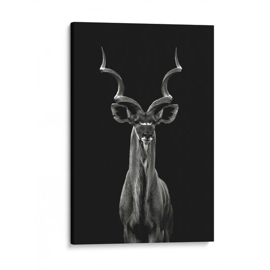 Greater Kudu by Hannes Bertsch - USTAD HOME