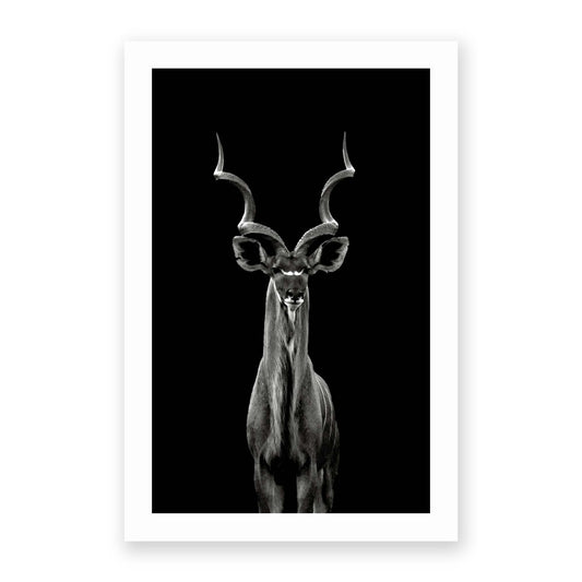 Greater Kudu by Hannes Bertsch - USTAD HOME