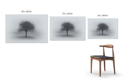 Tree in Fog by Aidong Ning - USTAD HOME