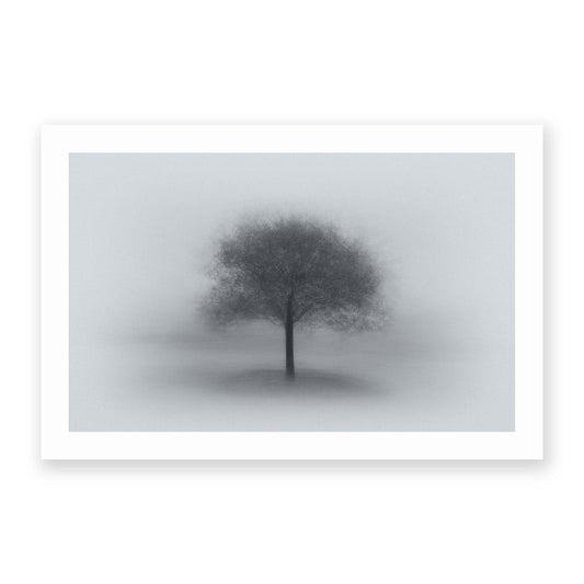 Tree in Fog by Aidong Ning - USTAD HOME