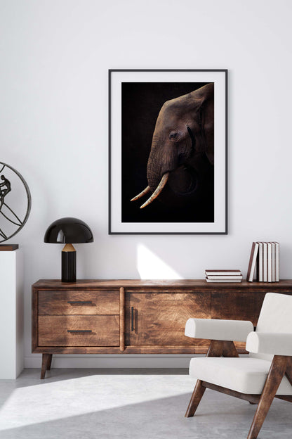 Elephant by Antonio Grambone - USTAD HOME