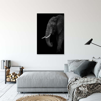 B+W Elephant by Ahmed Sobhi - USTAD HOME