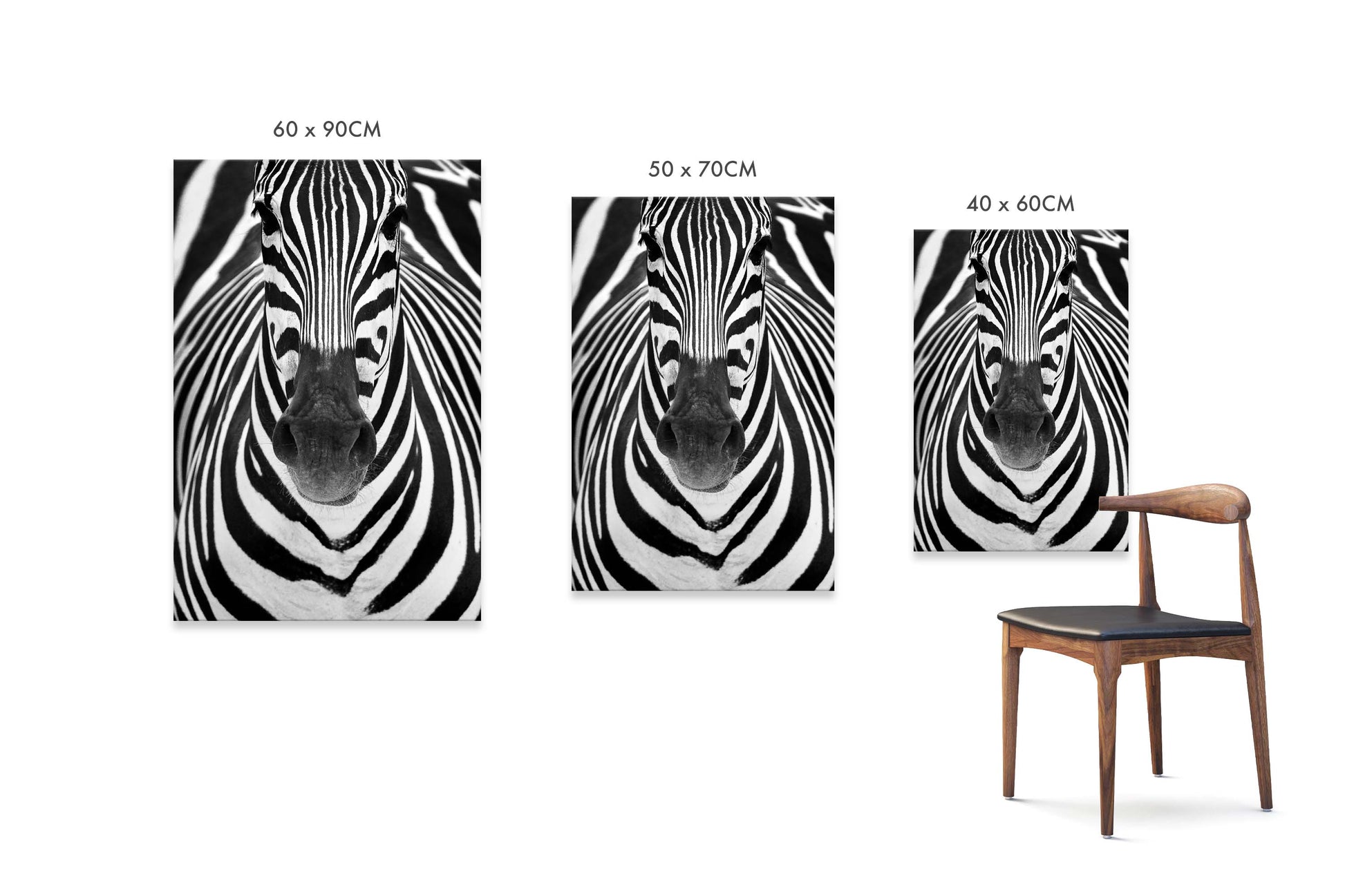Zebra by Juan Luis Duran - USTAD HOME