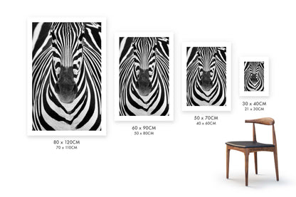 Zebra by Juan Luis Duran - USTAD HOME
